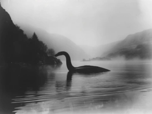 捕捉巨大鯊魚的漁民-1900年代捕鯨歷史照片 - 第8794期