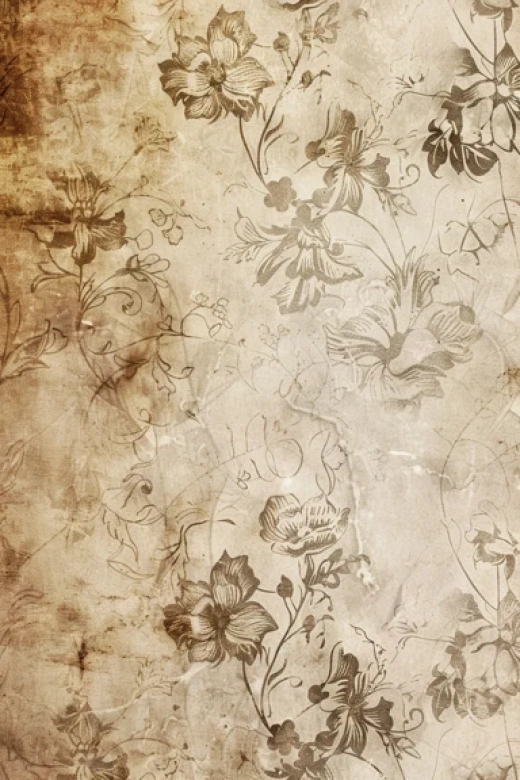 古典花卉文献图集 - 复古纸张上的花卉图案和呈现 - 第9736期